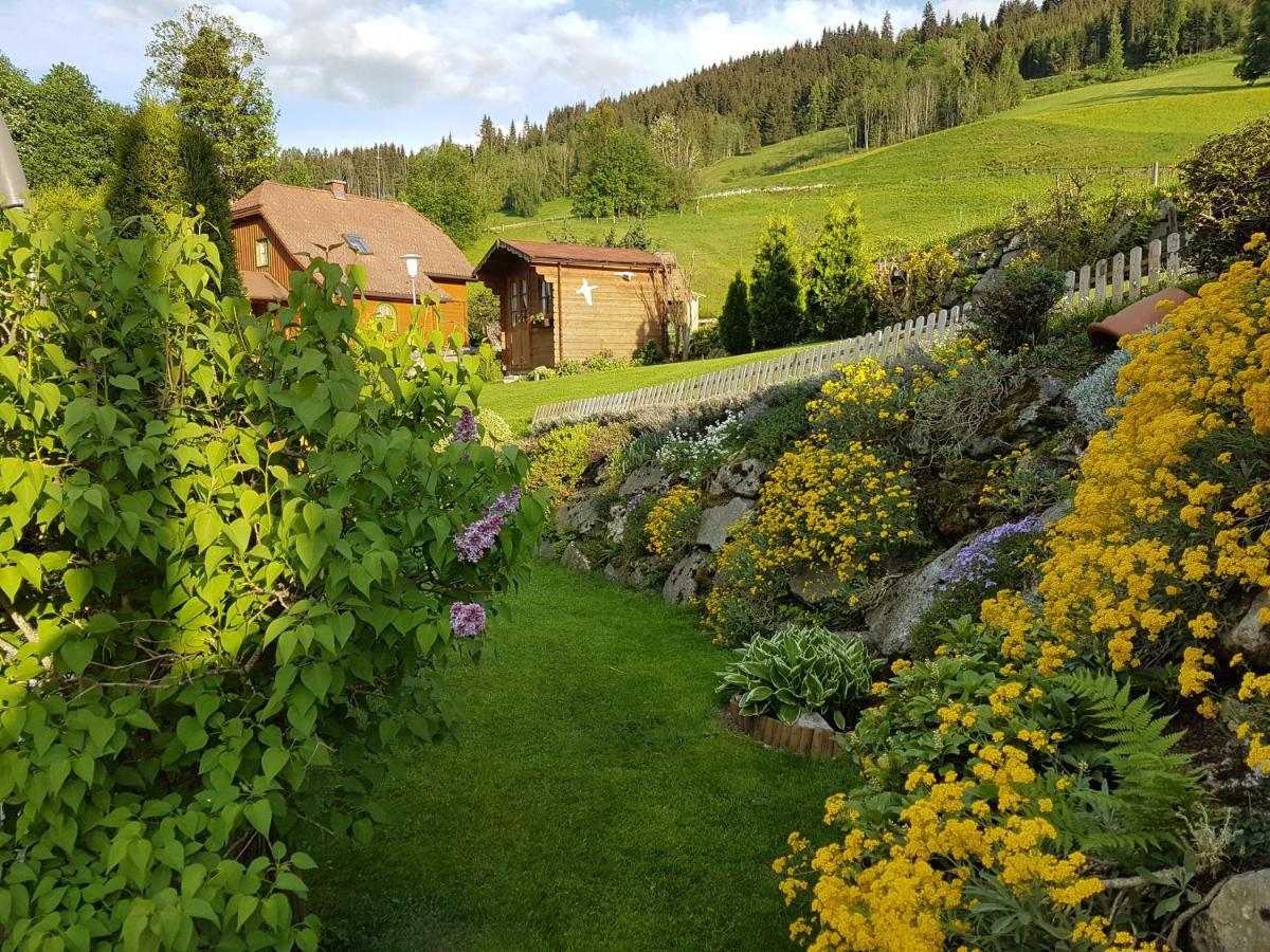 Appartement BERGTRÄUME Haus im Ennstal Exterior foto